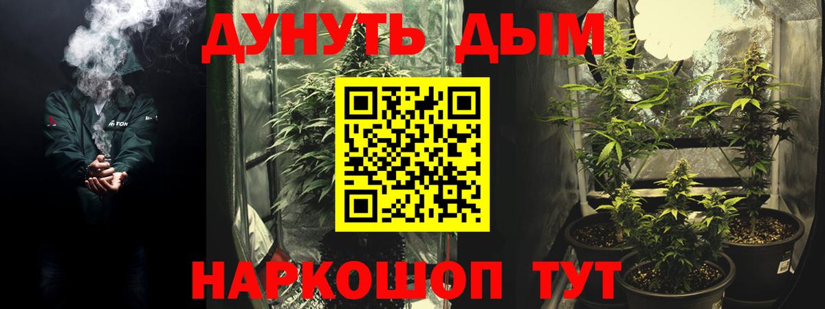 Шишки марихуана MAZAR  Вход с VPN  Краснознаменск  МАРИХУАНА LSD WEED  Бошки Шишки VHQ 